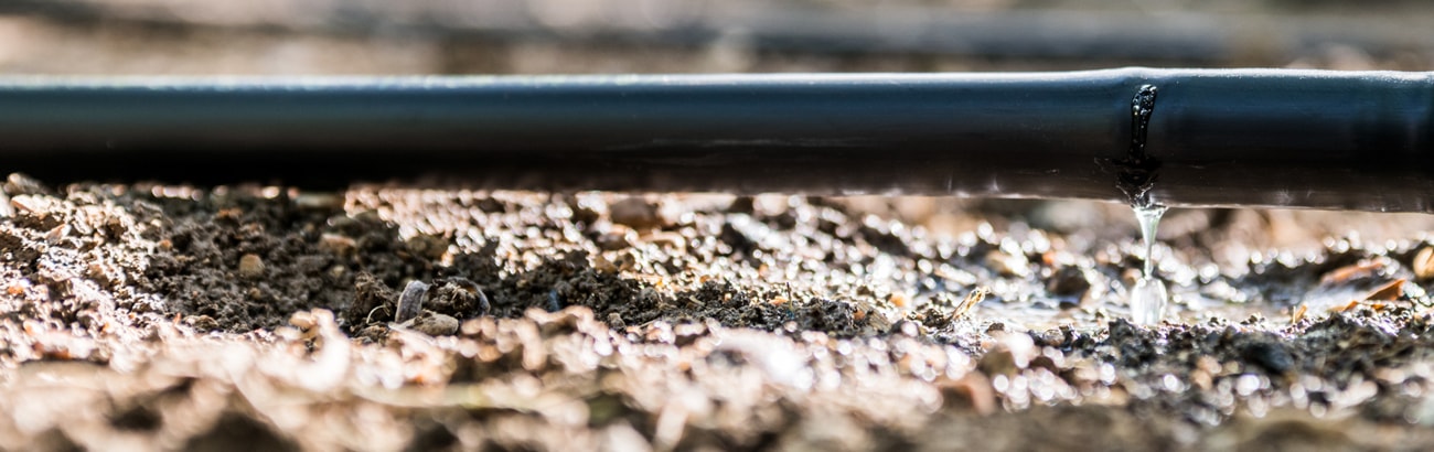 Water Quality for Micro-irrigation